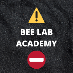 Bee Lab Academy